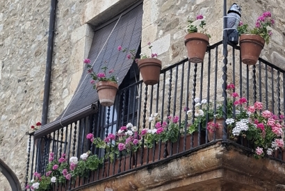 Persiana Barcelona : le store bois ext&eacute;rieur sur mesure, la persienne alicantine qui rafra&icirc;chit naturellement